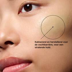 Phyto Corrective PDRN Serum