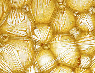 Mikroscopisch beeld van gestructureerd oppervlak met gouden en gele tinten, mogelijk een weefsel of mineraal.