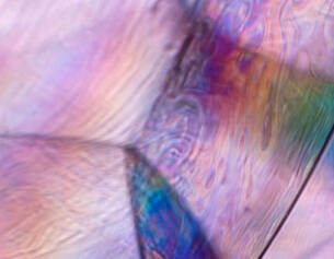 Close-up of a colorful, iridescent texture resembling a soap bubble or beetle wing, showcasing vibrant patterns and light reflections.