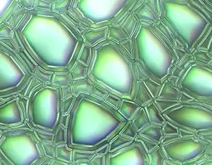 Abstract close-up of textured green bubbles with a shiny, iridescent surface.