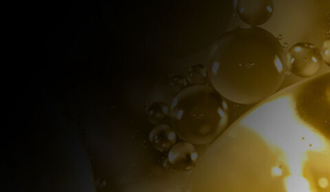 Antioxidant