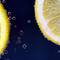 Close-up of two lemon slices submerged in sparkling water, with small bubbles clinging to the fruit.