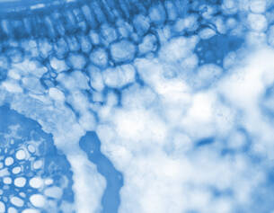 Abstracte afbeelding in blauw met een microscopische structuur van cellen en weefsels.