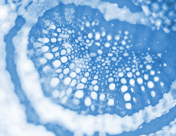 Abstracte close-up van een patroon in blauw en wit, met cirkelvormige en ovale vormen die een golvende textuur creeren.