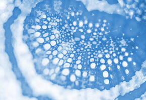 Abstracte close-up van een patroon in blauw en wit, met cirkelvormige en ovale vormen die een golvende textuur creeren.