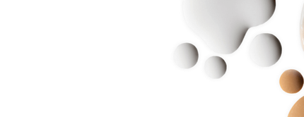 Abstracte afbeelding van verschillende vloeistoffen en texturen in neutrale kleuren, met een witte achtergrond.