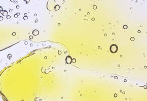 Paraben Free