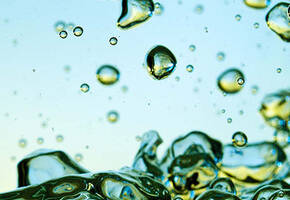 Paraben Free
