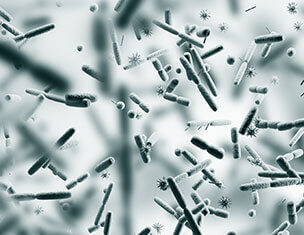 Microfotografie van bacterien en micro-organismen op een lichte achtergrond, die de diversiteit van microbiele leven toont.