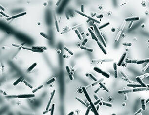 Microfotografie van bacterien en micro-organismen op een lichte achtergrond, die de diversiteit van microbiele leven toont.